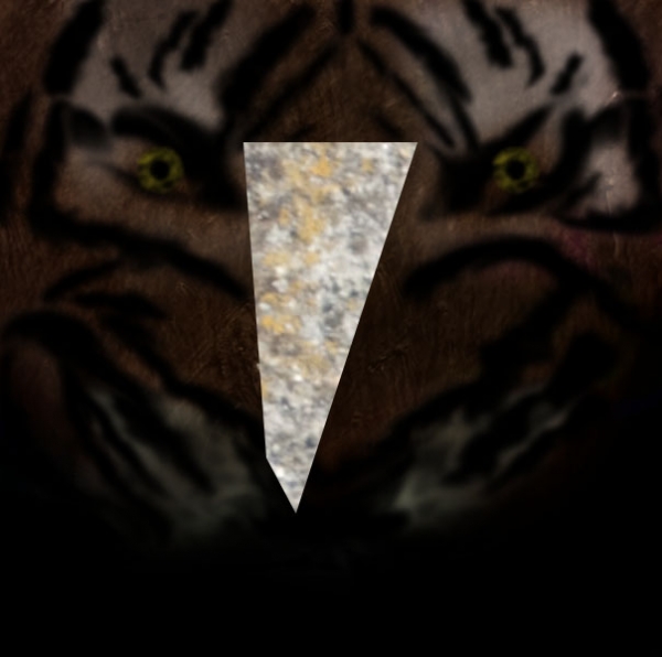 Creation of Save Us - With Luv, Tiger: Step 13